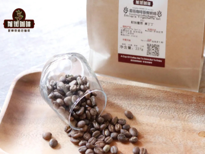 浅中深煎りのハンドドリップ用コーヒー豆のおすすめ｜どのコーヒー産地がスペシャルティコーヒー豆を多く産出していますか？コーヒー初心者は好みに合った日常使いのコーヒー豆をどう選べばよいですか？