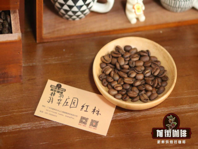 ナチュラル（Natural）、パルプドナチュラル（Pulped-Natural）、ハニープロセス（Honey processing）、ウォッシュド（Washed）詳解
