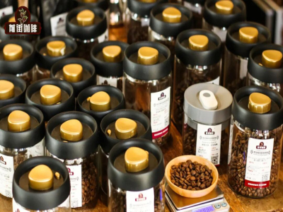 ハンドドリップ用コーヒー豆のブレンド｜ブレンドコーヒー豆はハンドドリップに使えますか？ブレンドするコーヒー豆の種類が多いほど、コーヒーの風味は豊かになるのでしょうか？