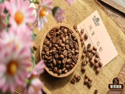 エチオピア シダモ ナチュラル 花魁｜シングルオリジンコーヒー豆の花魁／ゲイシャ／芸伎は同じコーヒー品種ですか？花魁とゲイシャの違いは何ですか？