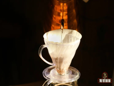 ケニアAAコーヒー豆｜ケニアのコーヒー品種SL28 SL34および風味の特徴の紹介