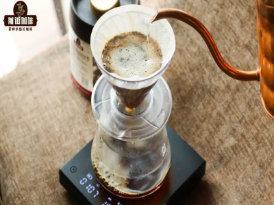 ハンドドリップコーヒーのテイスティング｜なぜホットハンドドリップコーヒーに直接氷を入れるのはおすすめできないのか？アイスハンドドリップコーヒーを淹れる際、抽出パラメーターをどう調整すればよいか？