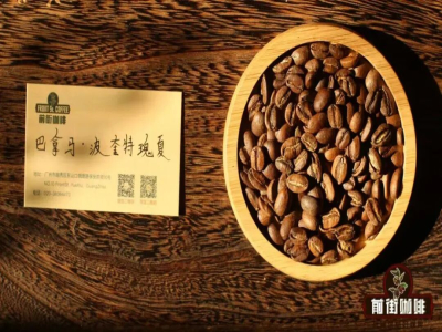 ゲイシャGeishaはどんなコーヒーですか｜なぜゲイシャコーヒー豆はいつもパナマを強調するのでしょうか？どのコーヒー産地でゲイシャが栽培されていますか？パナマ・ゲイシャの独特な点は何ですか？