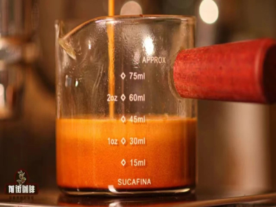 商用コーヒー豆ランキング｜どのエスプレッソブレンド豆の焙煎ブランドが初心者に適していますか？おいしいエスプレッソ抽出の普段飲みコーヒー豆のおすすめ