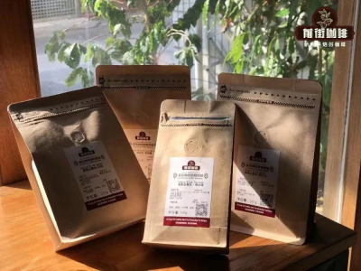 ハンドドリップコーヒーとコールドブリューの風味の違い　水温の高低がコーヒーの抽出に与える影響　コールドブリューとハンドドリップ両用の失敗しにくいコーヒー豆の紹介