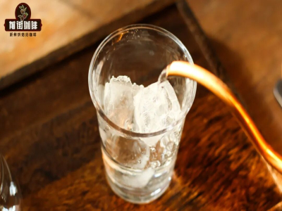 コーヒーの風味テイスティング｜水を飲んでからハンドドリップコーヒーを飲むと、より多くの風味を感じられる？アイスウォーターはコーヒーテイスティングにおいてどのような役割を果たすのか？
