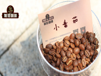 コールドブリューコーヒーの作り方講座｜家でアイスコーヒーを作る際、どのシングルオリジン豆を選ぶべき？コールドブリュー用におすすめの、コーヒー通が選ぶスペシャルティコーヒー豆