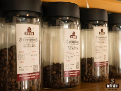 世界的に有名なコーヒー、ブルーマウンテンNo.1やゴールデンマンデリンのフレーバープロファイルはどのようなものですか？深煎りコーヒーにはどのような特徴があり、苦いのでしょうか？