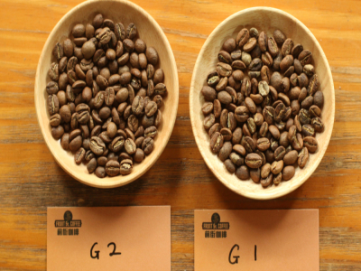 コーヒー生豆のグレード紹介｜各国のコーヒー生豆のグレーディング制度G1、G2、AA、PB、SHBコーヒー豆の特徴の違いや風味・口当たりの比較