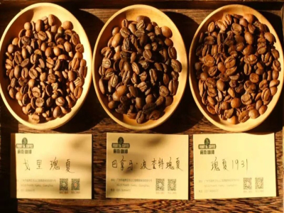 Gesha villageのコーヒーグレード｜エチオピア・ゲシャ村のゴールドラベルとレッドラベルコーヒーの風味と味わいの違いは何ですか？