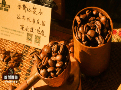 コスタリカコーヒー豆の品種・風味・口当たりの紹介　どうやってハニープロセスのSHB極硬コーヒー豆をハンドドリップするか？