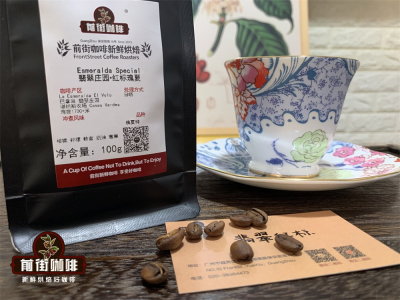 ゲイシャGeishaの起源物語｜ゲイシャ／芸者コーヒーはなぜこんなに高価なのか？初心者が買う価値のある高品質なゲイシャのハンドドリップコーヒー豆はどれ？