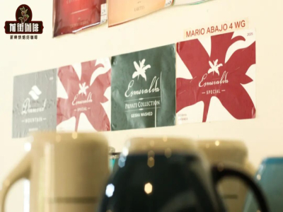 パナマのエスメラルダ農園ゲイシャコーヒー豆｜レッドラインゲイシャとグリーンラインゲイシャ(ゲイシャ)コーヒー豆の違い？エスメラルダ農園はどうやってゲイシャコーヒーのグレード分けをしてきたのか、その由来は？