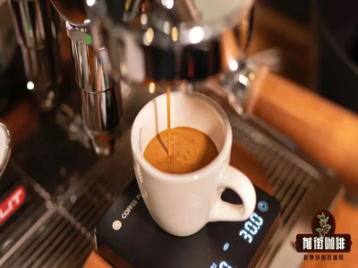 SOEコーヒーとはどういう意味ですか？ハンドドリップコーヒーに向いていますかそれともエスプレッソに？アイスアメリカーノのSOEは果酸が強いですか？SOE、シングルオリジン、シングルオリジン豆は同じものですか
