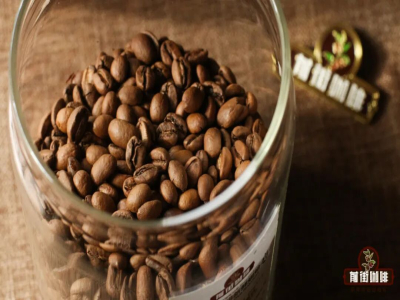 コーヒー知識｜コーヒー豆の焙煎度を素早く見分けるには？中浅煎コーヒーと中深煎コーヒーの挽き目と抽出水温のパラメータ紹介