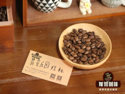 フレンチプレスコーヒー｜異なる産地のゲイシャコーヒーのフレーバーにはどのような違いがありますか？フレンチプレスを使っておいしいゲイシャコーヒーを淹れるにはどうすればいいですか？