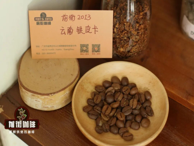 雲南の小粒コーヒー豆のカティモールとティピカ｜カティモール種はアラビカですかそれともロブスタですか？雲南のカティモールコーヒーにはどのような風味特徴がありますか？