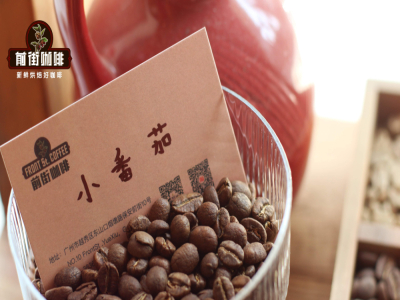 アイスドリップの起源物語｜アイスドリップコーヒーがなぜ「Dutch coffee（オランダコーヒー）」と呼ばれるのか？アイスドリップポットの使い方は？アイスドリップにはどのコーヒー豆を選ぶべき？