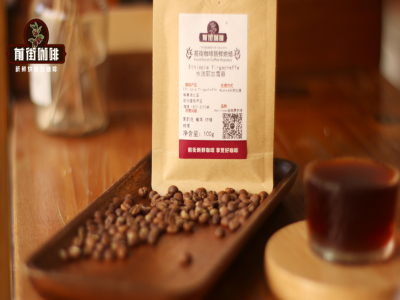 イエガチェフィコーヒーの産地｜エチオピアのコーヒー豆はなぜ水洗処理が多いのか？初心者に優しい厳選浅煎りハンドドリップ用コーヒー豆のおすすめは？