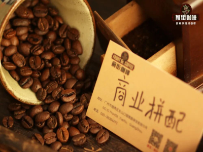 アラビカとロブスタコーヒー豆の紹介｜アラビカ豆とロブスタ豆はそれぞれどのような産地、味、外観の特徴があるのでしょうか。