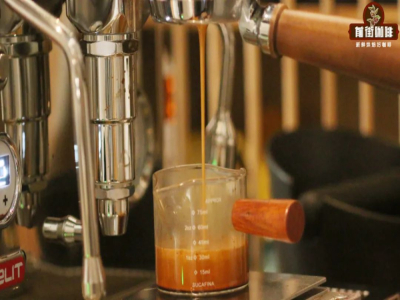 イタリアンコーヒー Espresso｜エスプレッソとは何か？コーヒー初心者はどうやってエスプレッソを作る？Espressoの正しい飲み方は何がある？