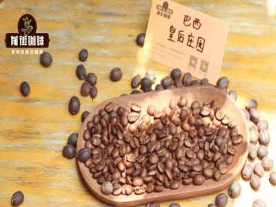 コールドブリューコーヒーポットのフィルターの使い方は？どうやってコーヒーかすをきれいに濾す？コールドブリューコーヒーを作る際の粉EK43sとC40の挽き目は何段階