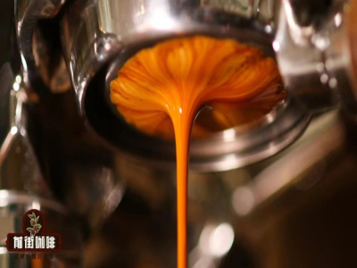 soeコーヒー豆ブランド｜シングルオリジン豆から抽出したエスプレッソはおいしいですか？初心者に優しい高コスパの厳選SOEコーヒー豆のおすすめはどのようなものがありますか？