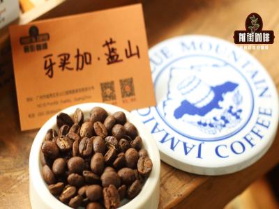 ハンドドリップコーヒーの抽出のポイント｜シングルオリジン豆をコーヒー粉に挽いてどうやって淹れる？ハンドドリップに蒸らしは必要ですか？ハンドドリップコーヒーの注ぎ方と抽出パラメータの紹介