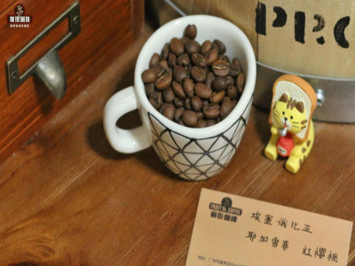 アフリカ産コーヒーの風味解析｜皆イエガチェフィ、ウォッシュドのコチェレvsナチュラルのレッドチェリーの違いはどこ？ハンドドリップコーヒー入門におすすめの花果香コーヒー豆